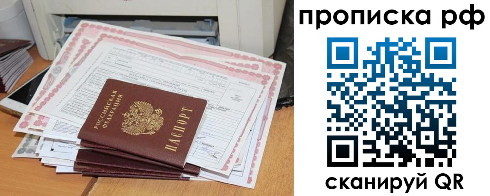 прописка гарантия в Тимашёвске